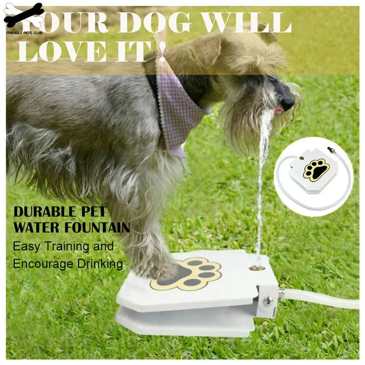 Self-Serve Dog Water Fountain