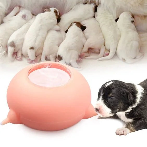 Portable Pet Milk Feeder Bowl