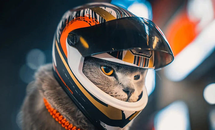 Full-Face Motorcycle Helmet for Pets