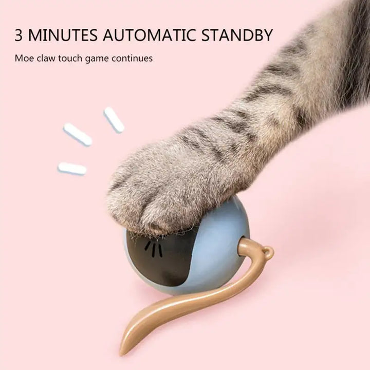 Self-Rotating Automatic Cat Toy