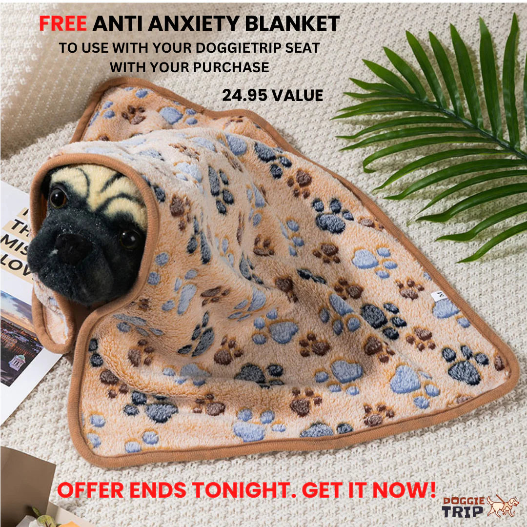 CalmComfort Anxiety Relief Blanket