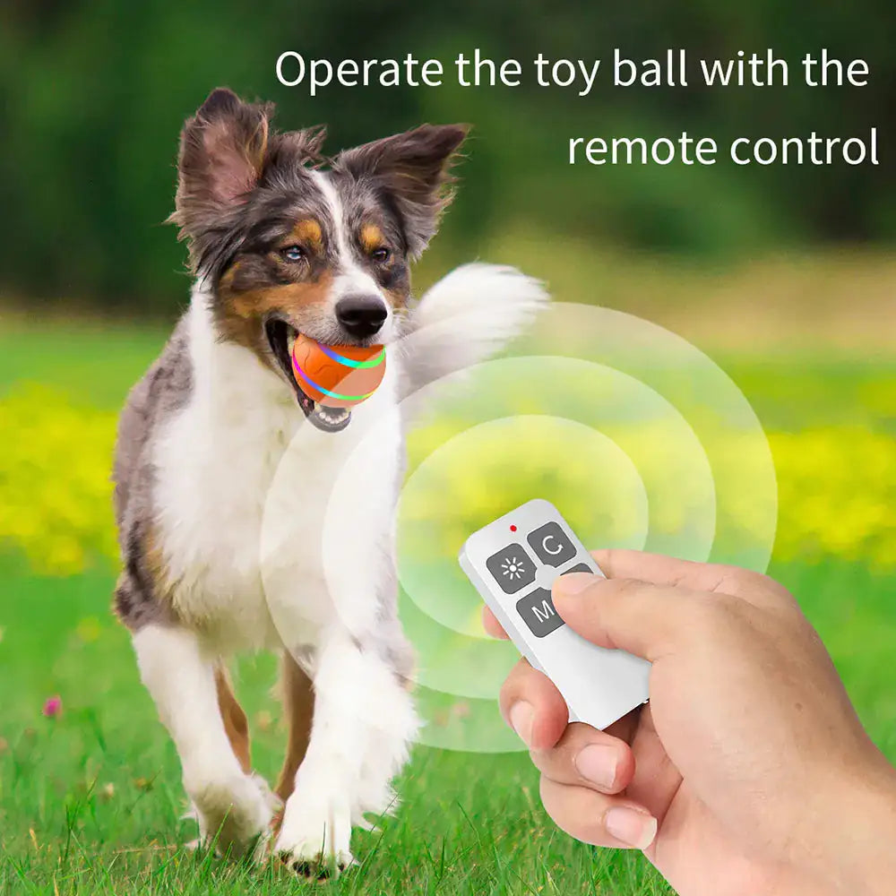 Smart Pet Interactive Ball Toy