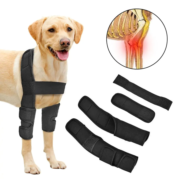 Supportive Pet Leg Brace