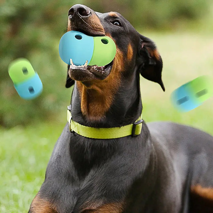 Dog Food Dispensing Ball