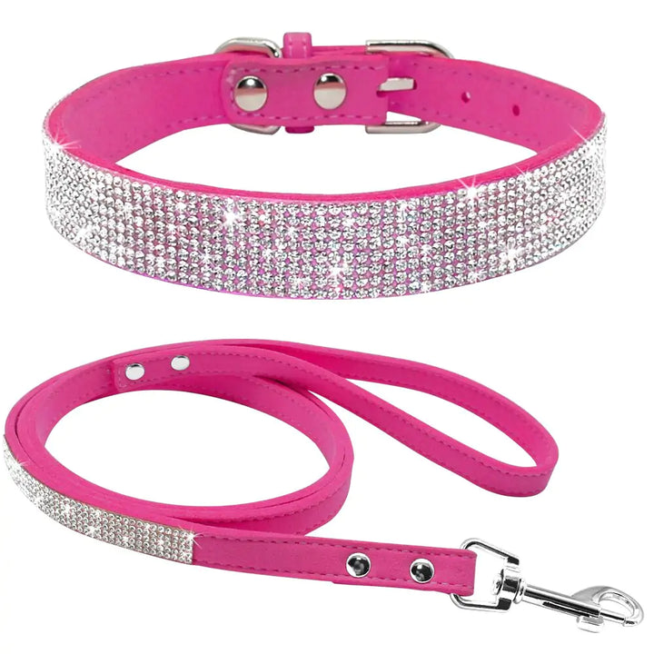 Collar Leash Ensemble for Pets