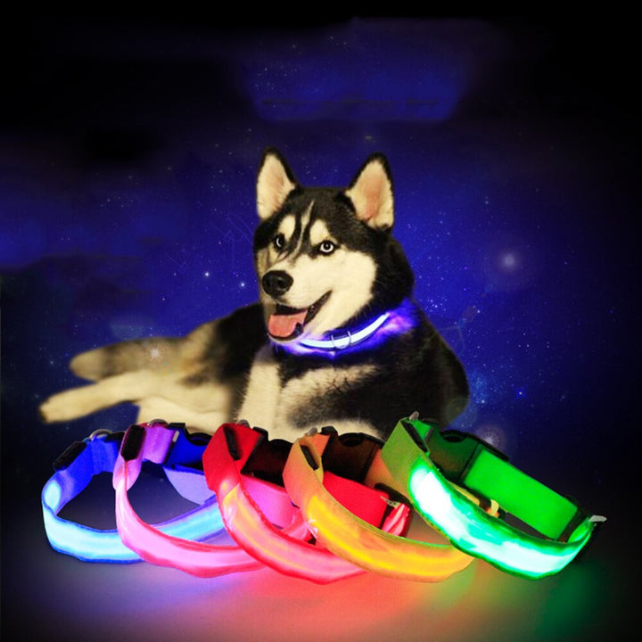 LED Glowing Night Safety Collar