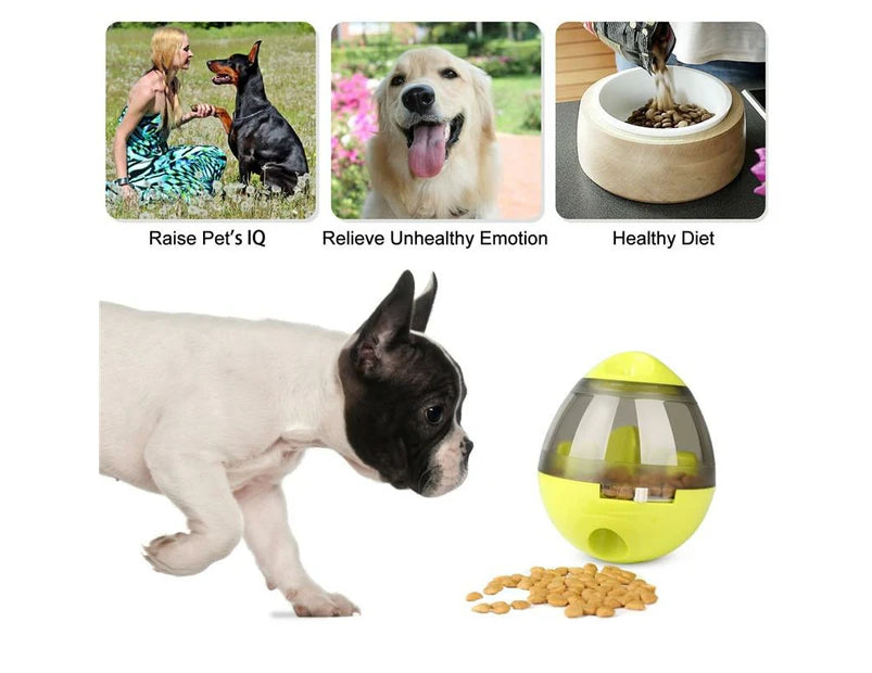 Interactive Pet IQ Test Treat Ball Dispenser