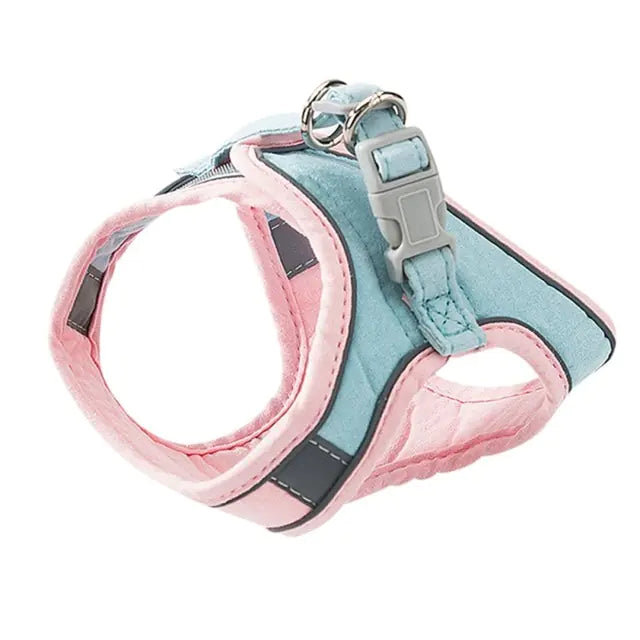 Cat Harness and Leash Set