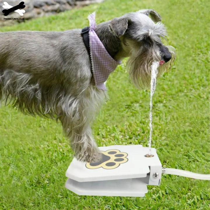 Self-Serve Dog Water Fountain