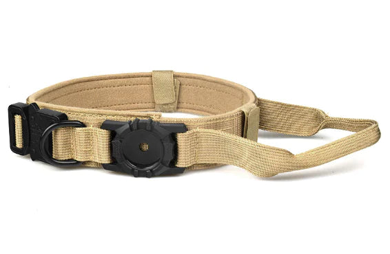 Durable Metal Buckle Dog Collar