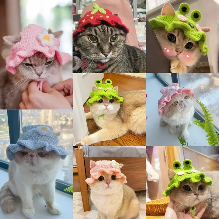 Refined and Adorable Pet Hat