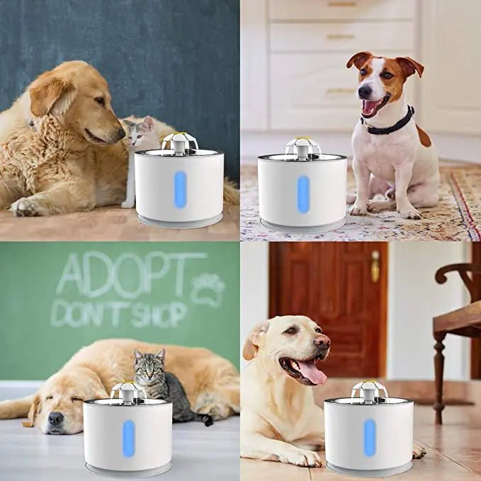 Electric Pet Drinking Dispenser Bowls