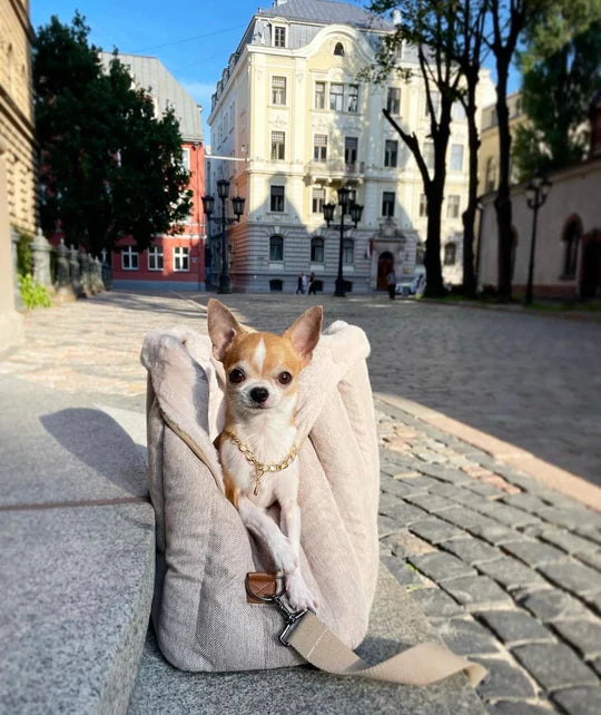 Cozy Thick Warm Pet Bag