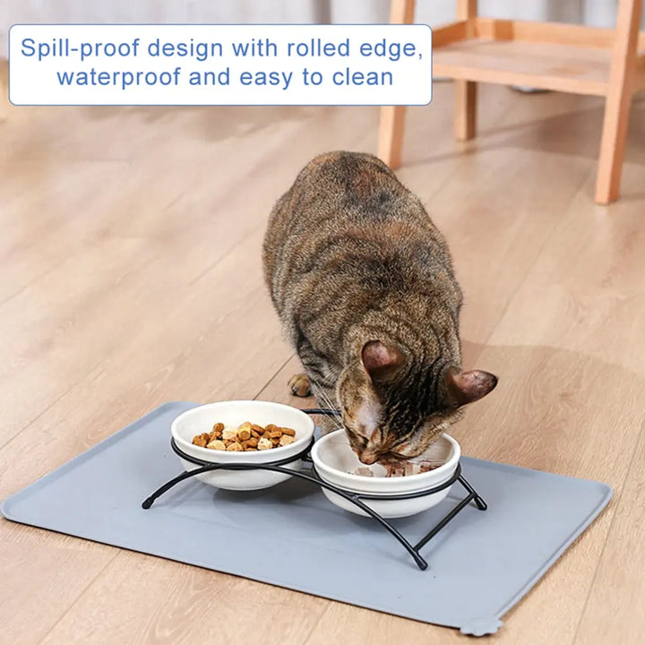 Silicone Pet Feeding Mat