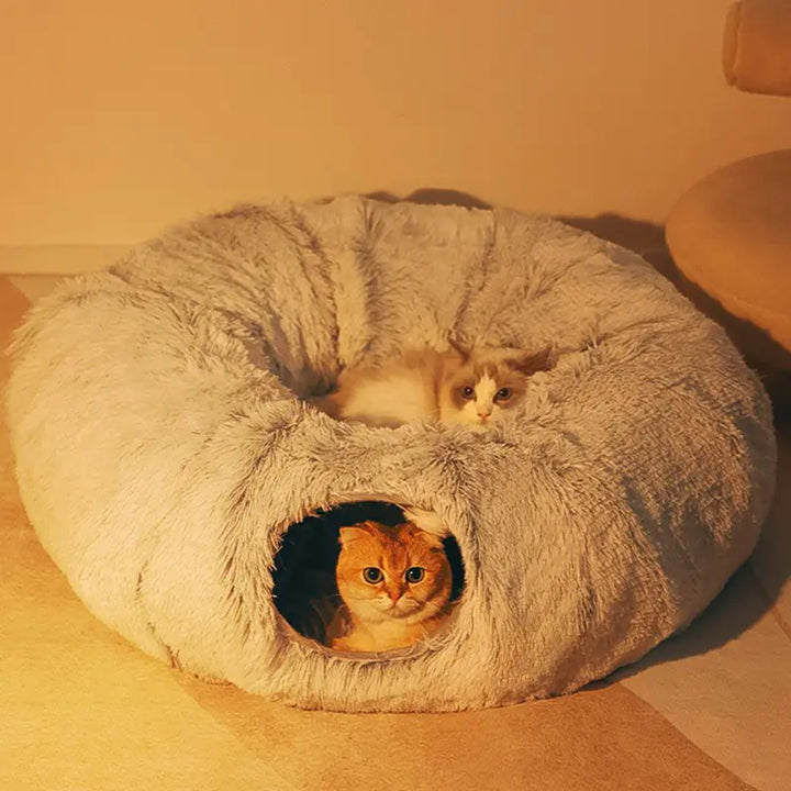 Cozy Homes for Feline Friends: Cat Beds