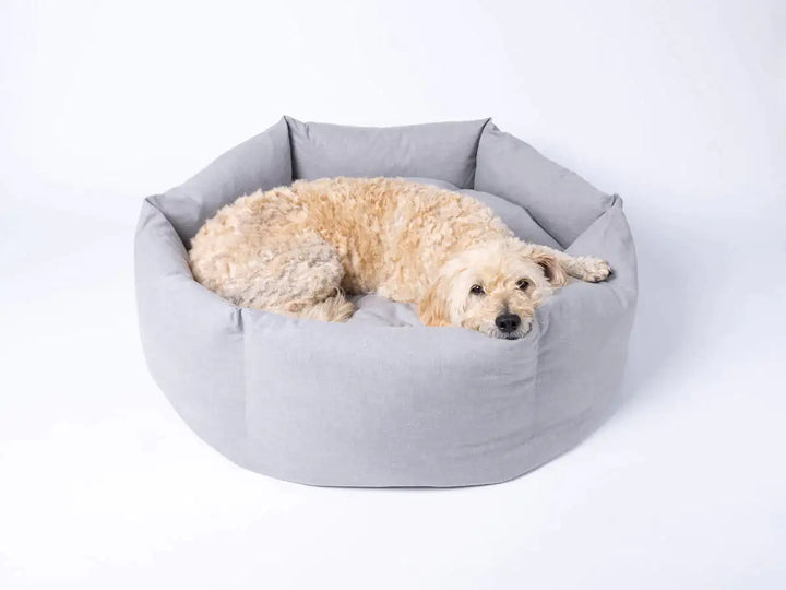 Cozy Paws Soothing Dog Bed