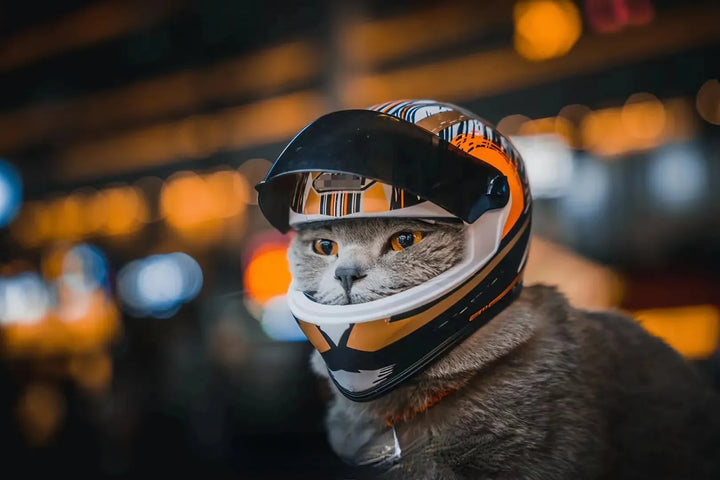 Full-Face Motorcycle Helmet for Pets