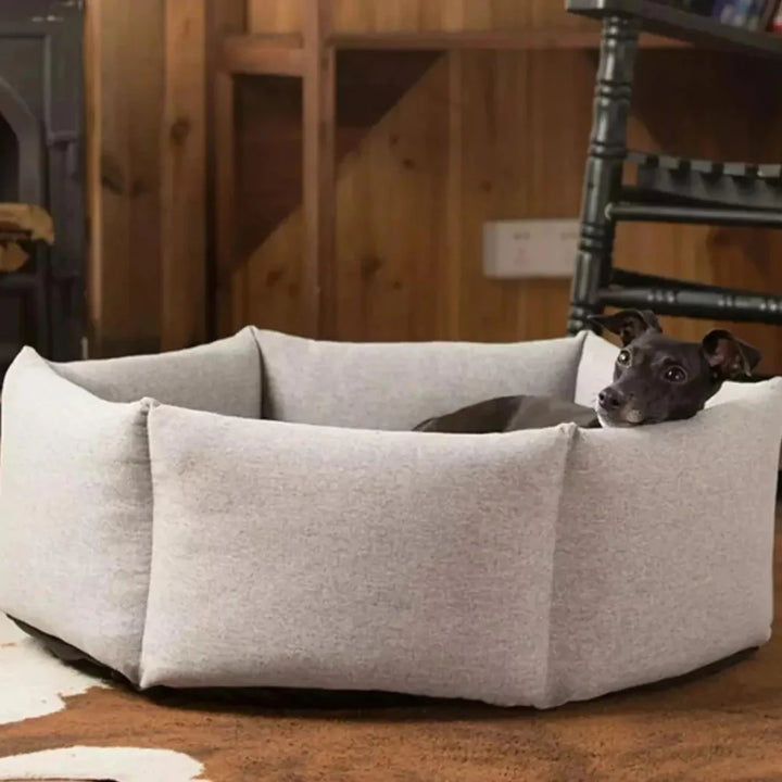 Cozy Paws Soothing Dog Bed