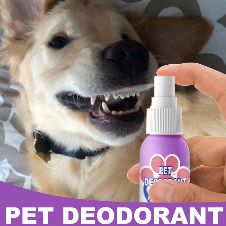 Pet Dental Care Spray