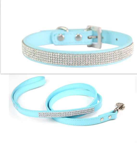 Collar Leash Ensemble for Pets