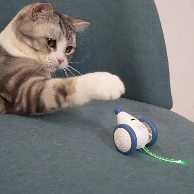 Playful Mouse: The Latest Cat Toy Craze