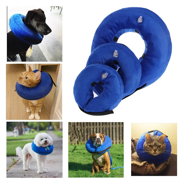 Pet Inflatable Recovery Collar