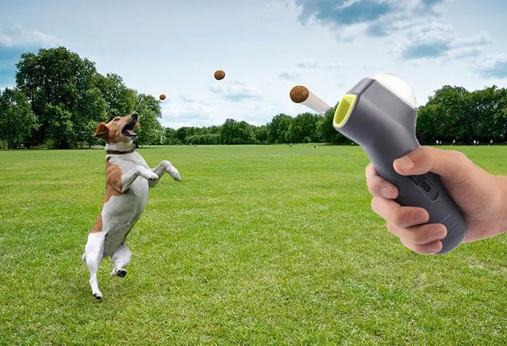 Snack Launcher for Dog Training