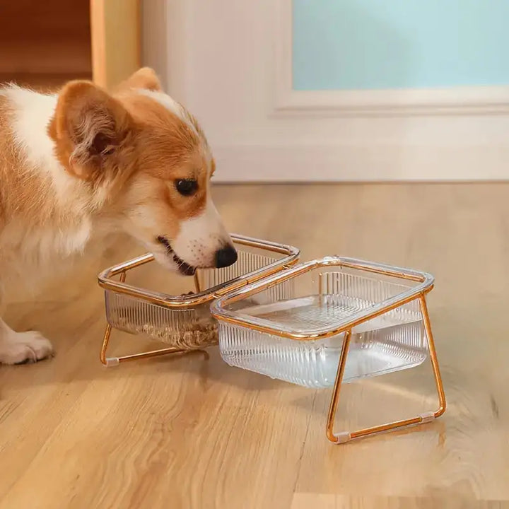 Pampered Paws Raised Bowl Set