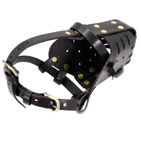 Dog Anti-Bite Training Muzzle