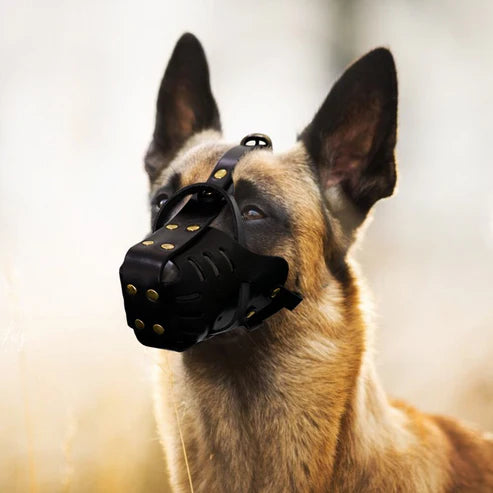 Dog Anti-Bite Training Muzzle