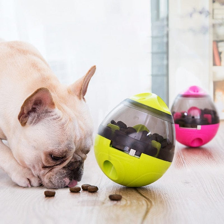 Interactive Pet IQ Test Treat Ball Dispenser