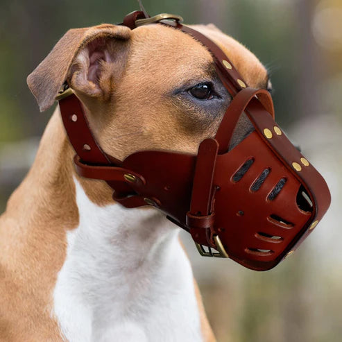 Dog Anti-Bite Training Muzzle