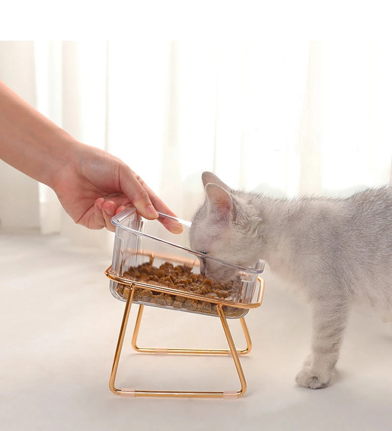 Pampered Paws Raised Bowl Set