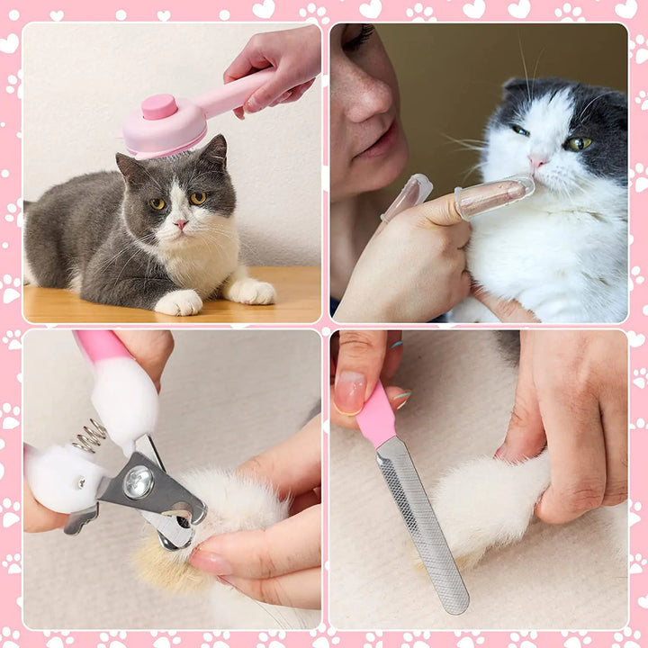 Pet Grooming Brush