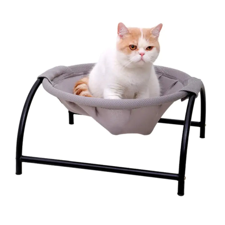 Pet Hammock with Iron Frame