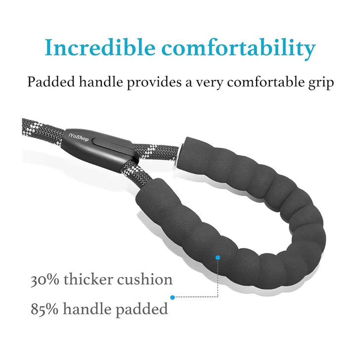 Tangle-Free Dual Dog Leash