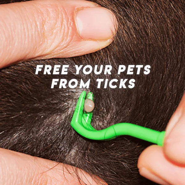 Tick Remover by PetPro