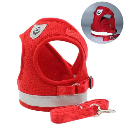 CozyCat Pet Harness & Leash Set