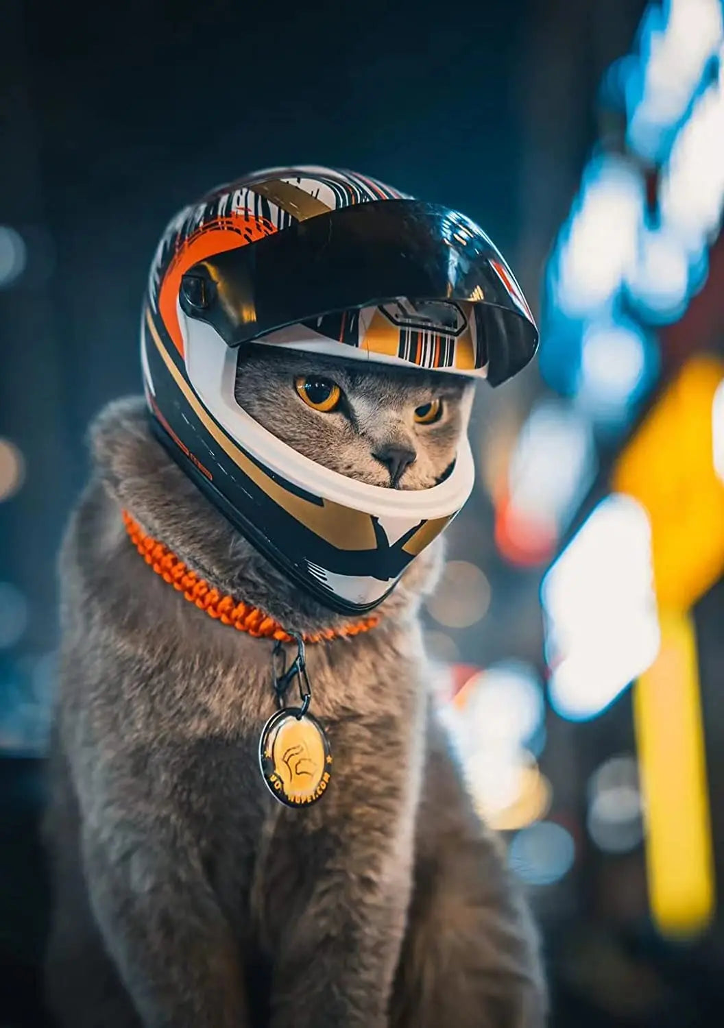 Full-Face Motorcycle Helmet for Pets