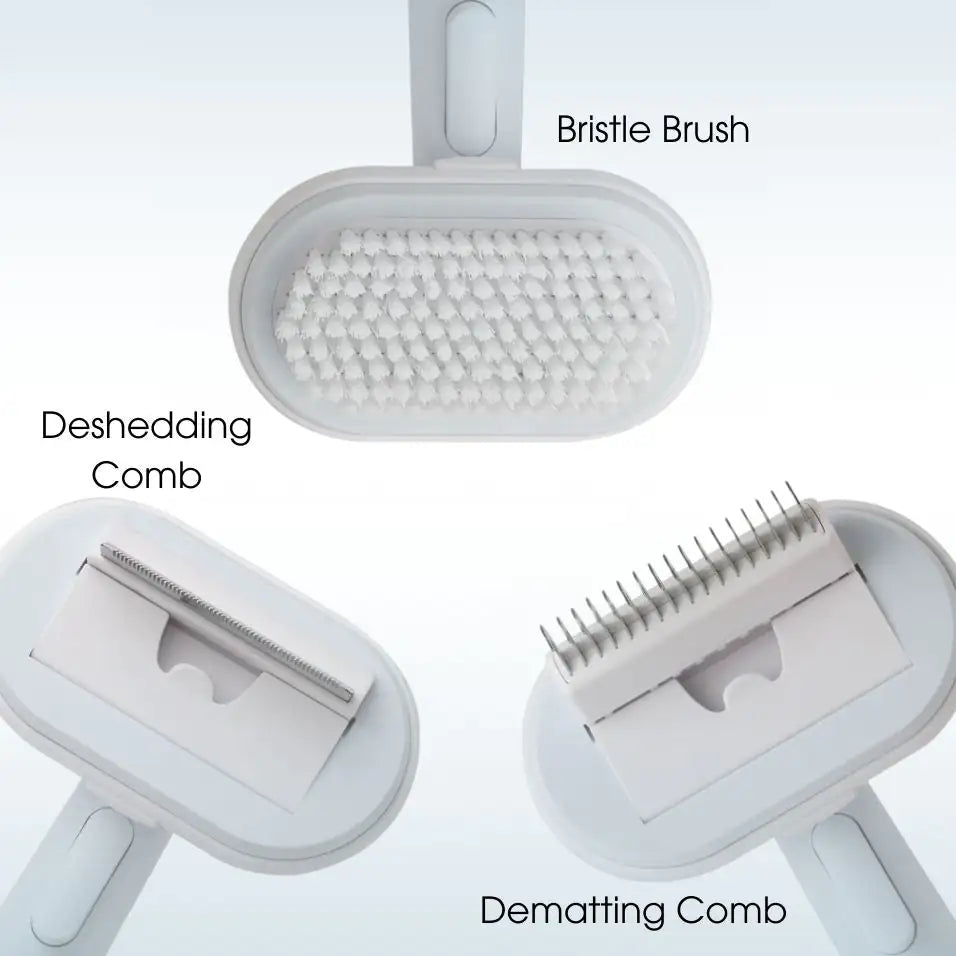 Self-Cleaning Slicker Pet Brush