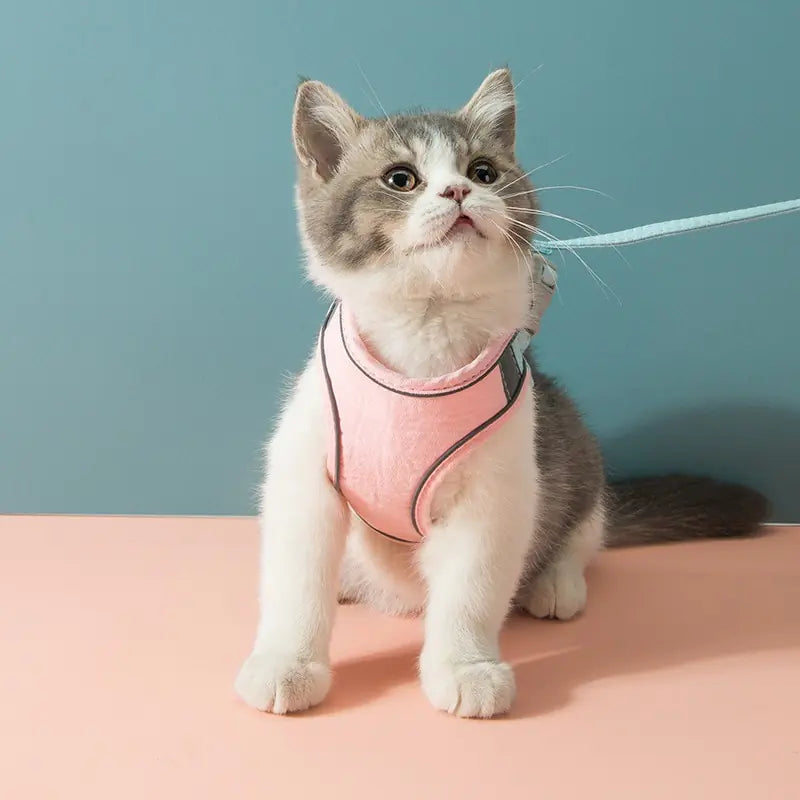 Cat Harness and Leash Set