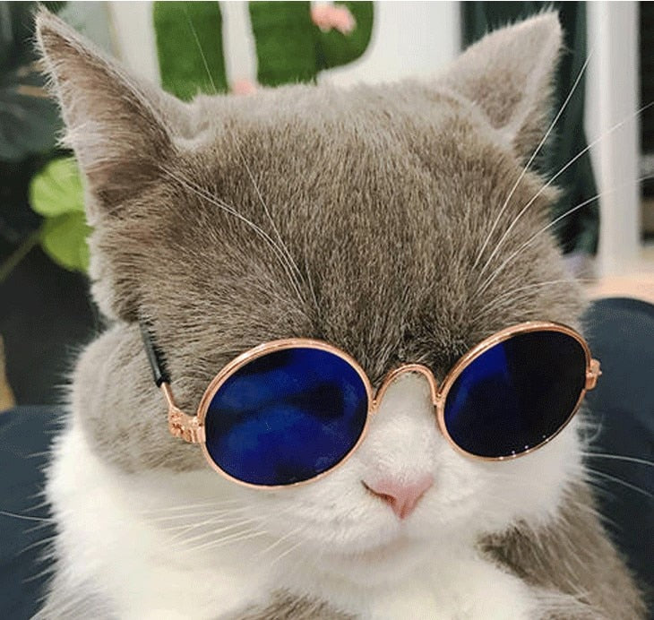 Retro Circular Cat Sunglasses