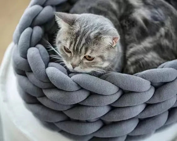 Plush Pet Bed