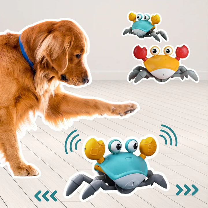 Automatic Crab Crawler Dog Toy