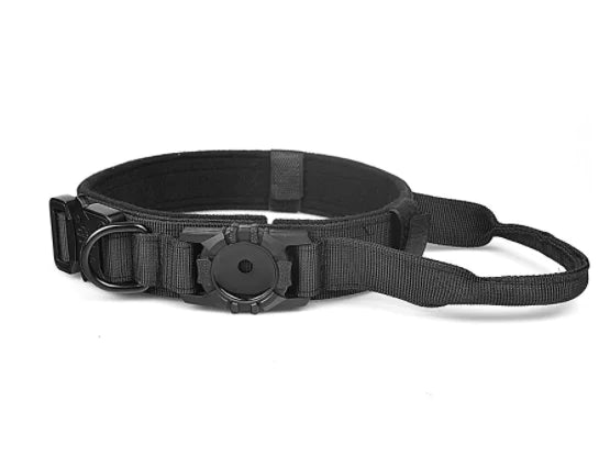 Durable Metal Buckle Dog Collar