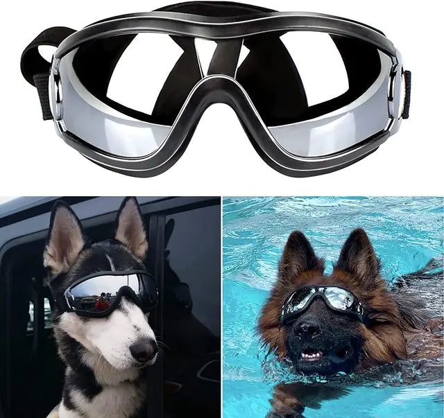 Dog Goggles with Adjustable Straps