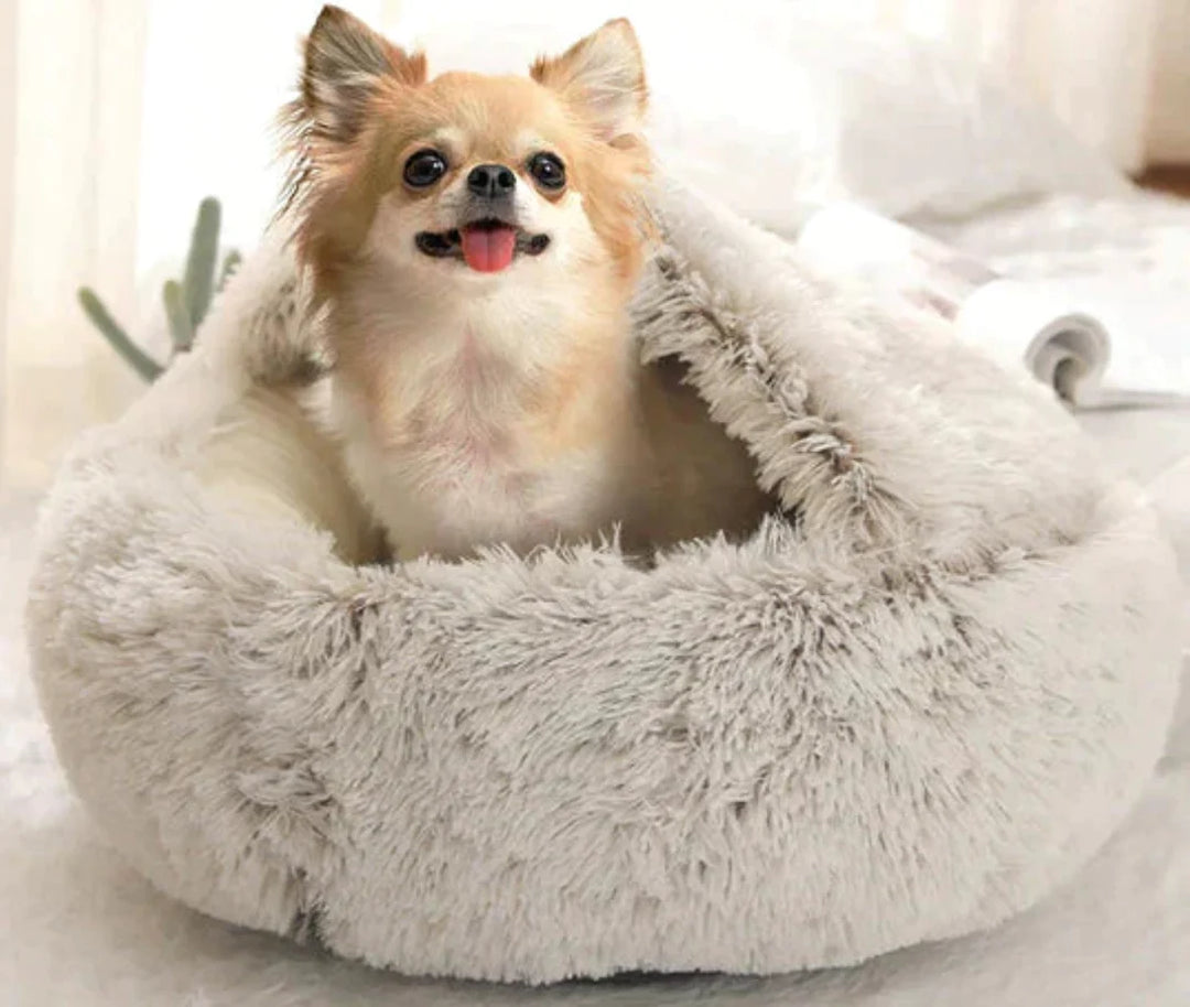 Sanctuary Sleep: Haven Pet Bed