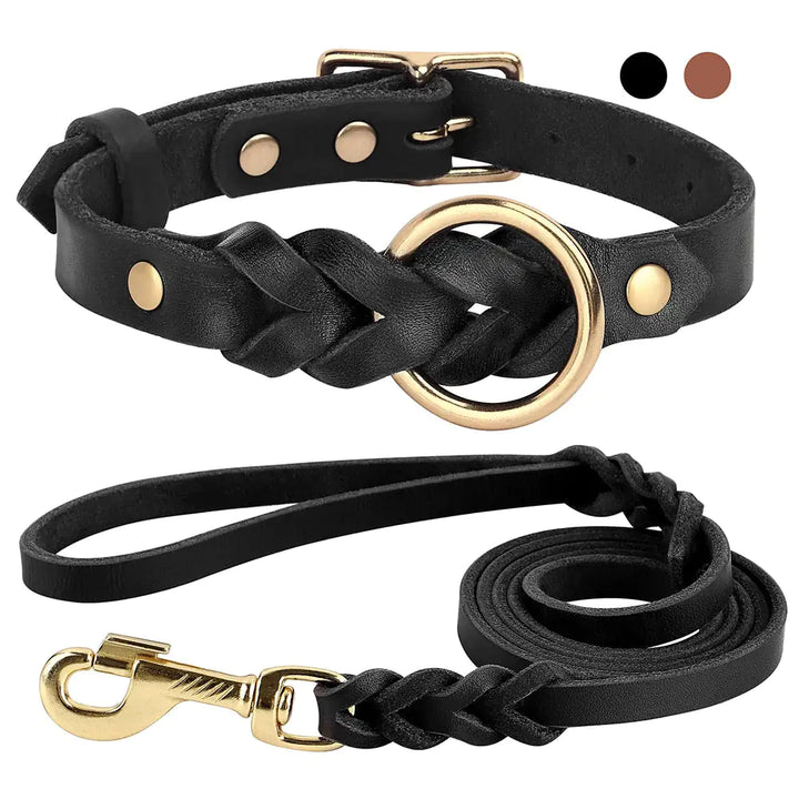 Dog Collar and Leash Combo