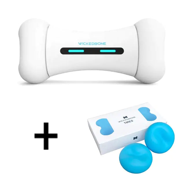 Motion-Sensing Interactive Pet Toy