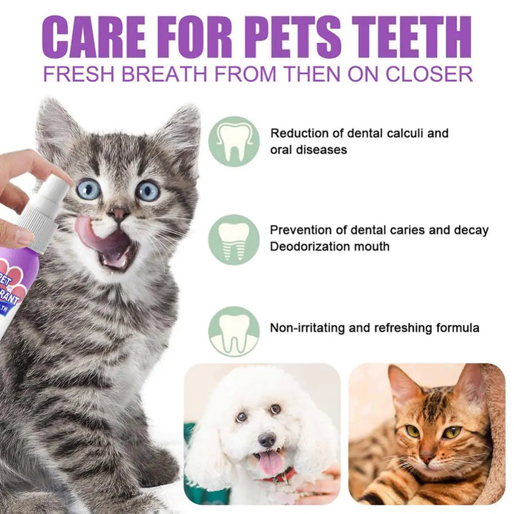 Pet Dental Care Spray